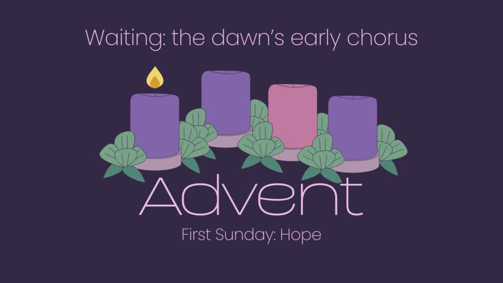 Waiting: the dawn’s early chorus