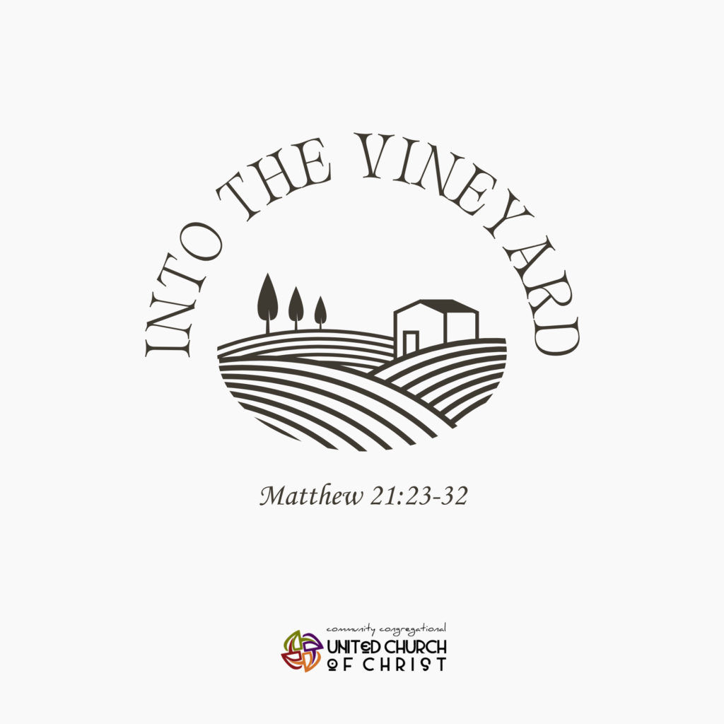 Into the Vineyard